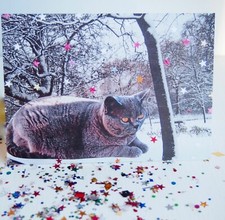 Biglietto di Natale British