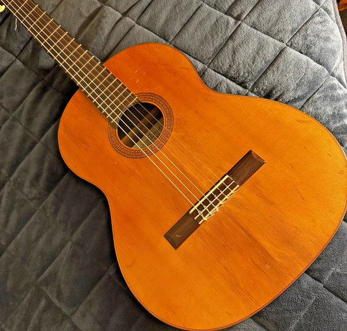 Seizi inaba 1966 chitarra - n.b,