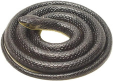 Gomma Snakes, Gomma Serpente
