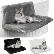 Gatto Gattino Appeso Radiatore