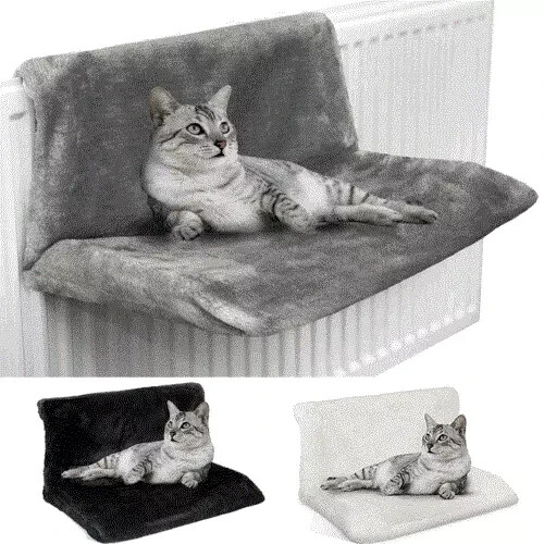 Gatto gattino appeso - gattino,