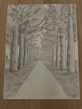 disegno a matita