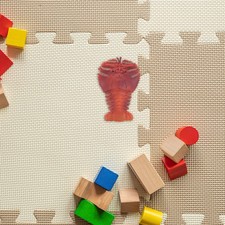  Bionic Pipa Gamberetti