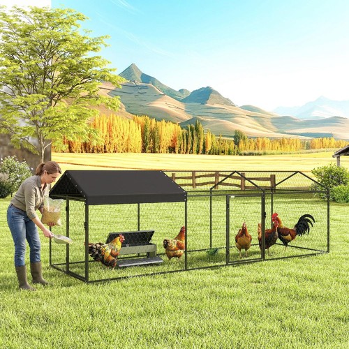 Pollaio per galline - pollaio, 3x1x1m