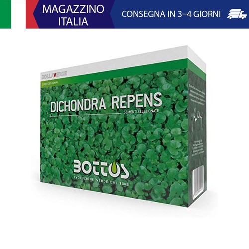 Bottos dicondra repens - dicondra, semi