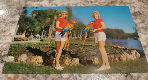 Rare postcard jane jean - rare,