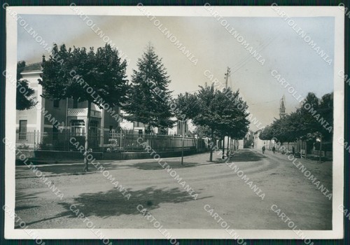 Pavia mede via - mede, novembre