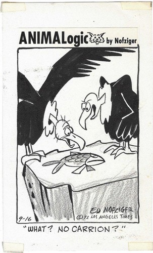Animal logic nofziger - logic,