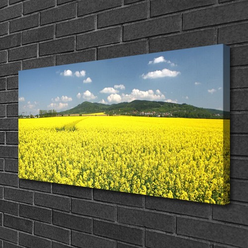 Stampa tela canvas 100x50 - canvas,