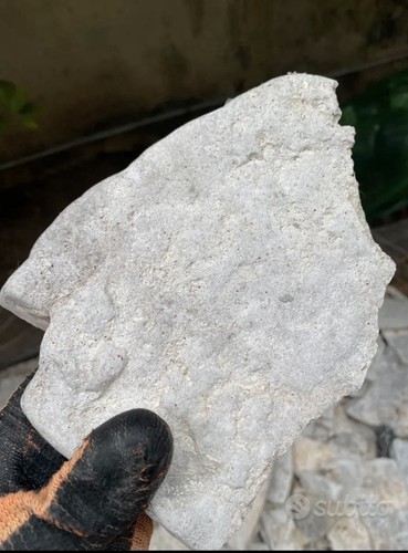 Pietra trani bianca - di,