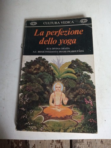 Perfezione della yoga - perfezione,