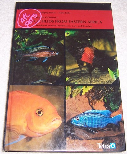 African cichlids - ii,