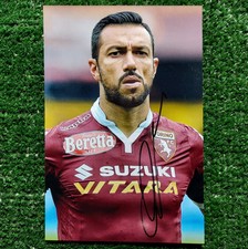 Foto quagliarella torino - foto,