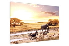 Quadro Stampa Arte Parete su Tela Safari Animali Selvatici Africani per Soggiorno
