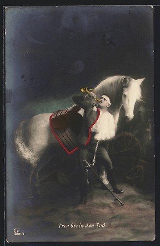 Cartolina cavaliere cavallo - cavaliere,