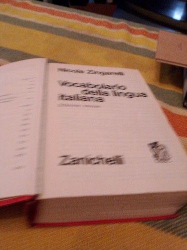 Vocabolario della lingua - vocabolario,