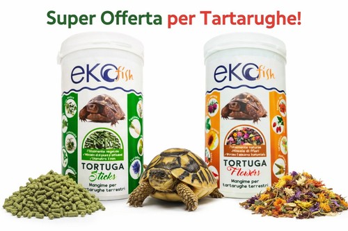Mangime tartarughe terrestri - mangime,