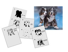 AS-342 cane bernese stencil