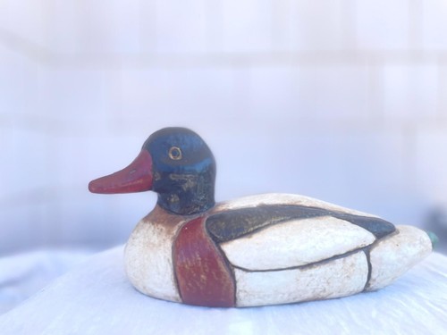 Thun animali anatra papera - , 28