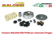 Variatore MALOSSI MULTIVAR per