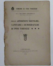 Dott. Riccardo Ghivarello Condizioni igieniche, sanitarie di Pino Torinese  1919