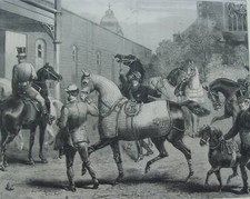 EQUITAZIONE_IPPICA_CAVALLI_ABB