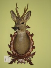 Roe deer head (no. 61) on the