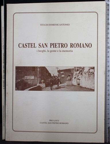 Castel san pietro romano di - san,