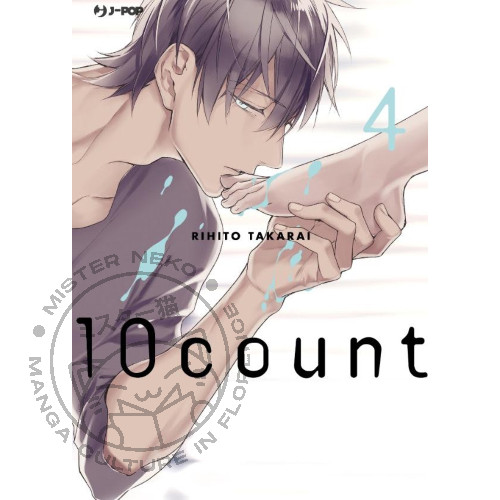Manga 10count 4 - manga, (ten