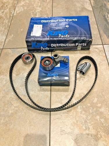 Kit cinghia distribuzione - cinghia,