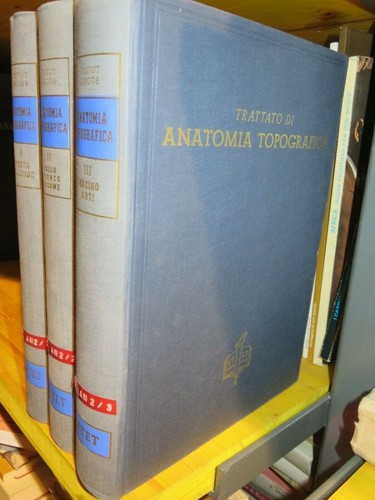 Trattato anatomia - trattato, di