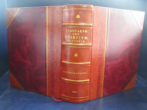 Plantarum seu stirpium - plantarum,
