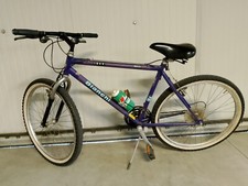 bicicletta da uomo usata