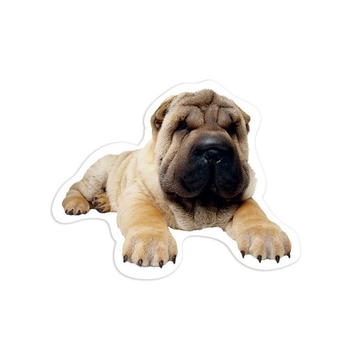 Adesivo regalo sharpei mi - regalo:,