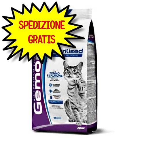 Gemon gatto adulto - gemon,