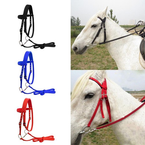 Briglia per cavallo - , in
