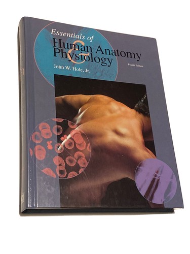 Essentials human anatomy - of,