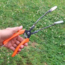 Strumento per il trapianto di