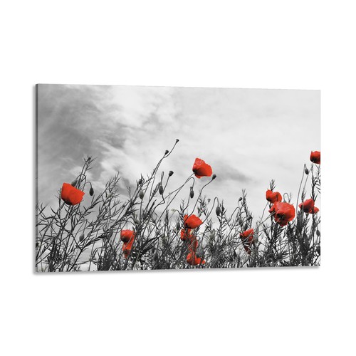 Quadro stampa tela con - quadro,