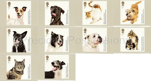 Cartoline phq cards mint - phq,