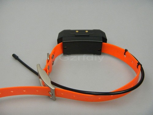 Garmin dc40 gps collare - garmin,