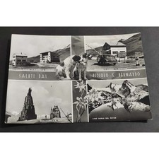 Cartolina Piccolo S. Bernardo