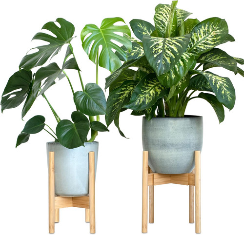Supporto piante interno - interno, |