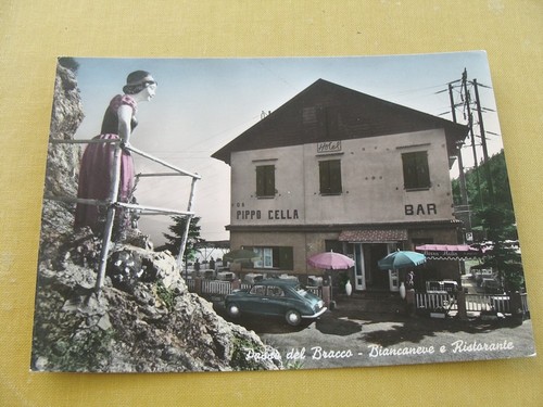 Deiva marina - (fg.m07),