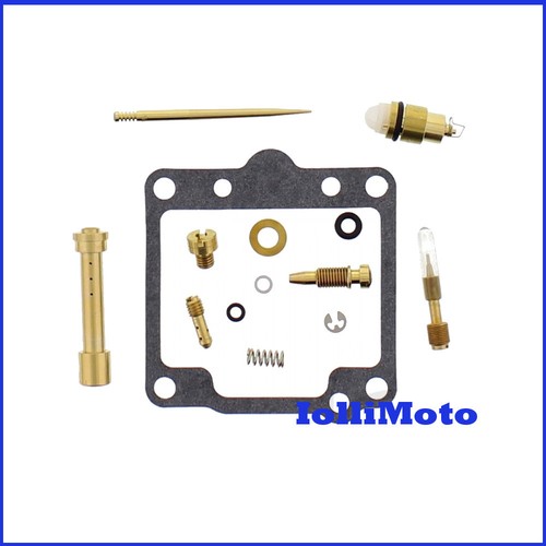 Kit revisione carburatore - revisione,
