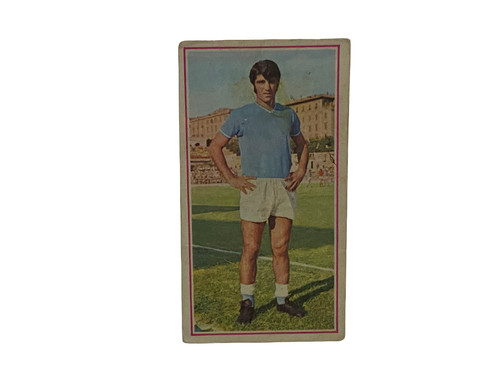 Figurine calciatori panini - figurine,