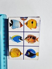 FISH MISRAAB POKER MALDIVES