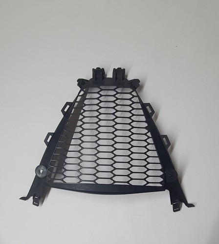 Griglia protezione radiatore - griglia,