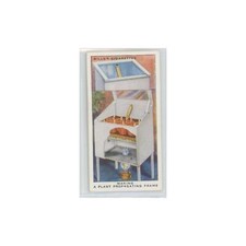 1938 Will's Cigarettes Garden