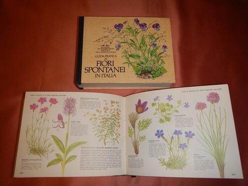 Guida pratica fiori - pratica, ai